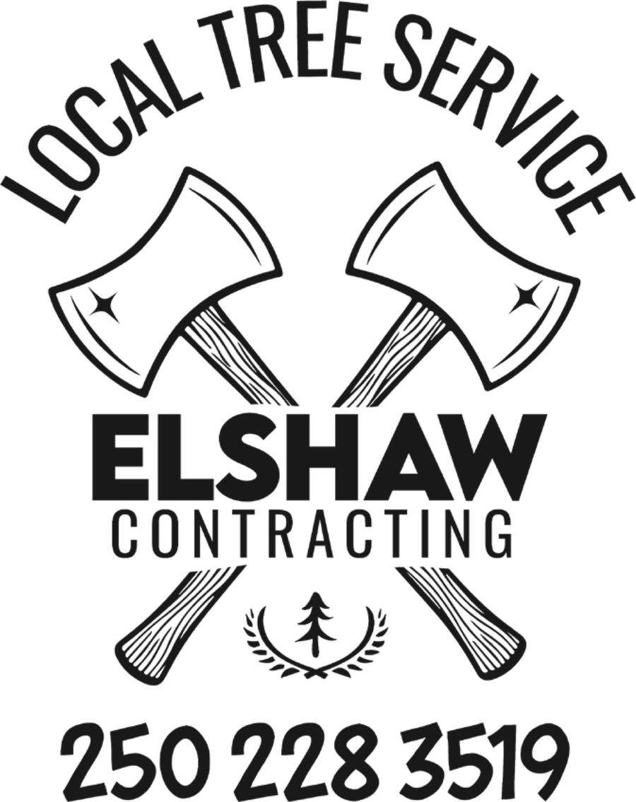 Elshaw Contracting — Ian Elshaw, certified faller and professional tree climber