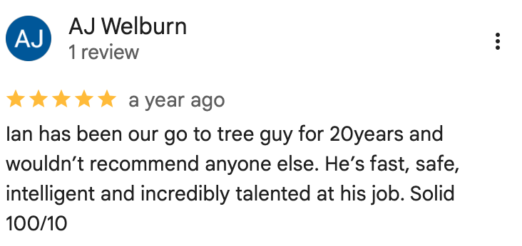 Ian has been our go to tree guy for 20 years and wouldn't recommend anyone else. He's fast, safe, intelligent and incredibly talented at his job. Solid 100/10