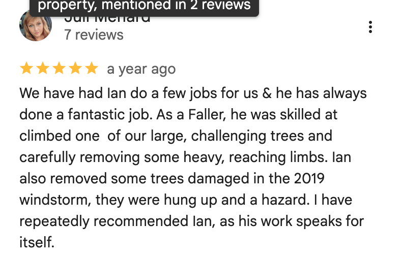 We have had Ian do a few jobs for us & he has always done a fantastic job. As a Faller, he was skilled at climbed one of our large, challenging trees and carefully removing some heavy, reaching limbs. Ian also removed some trees damaged in the 2019 windstorm, they were hung up and a hazard. I have repeatedly recommended Ian, as his work speaks for itself.